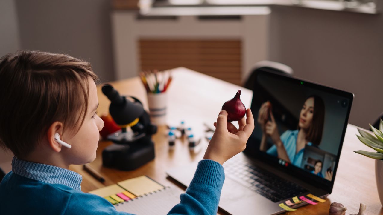 Ensino híbrido e pedagogia de projetos