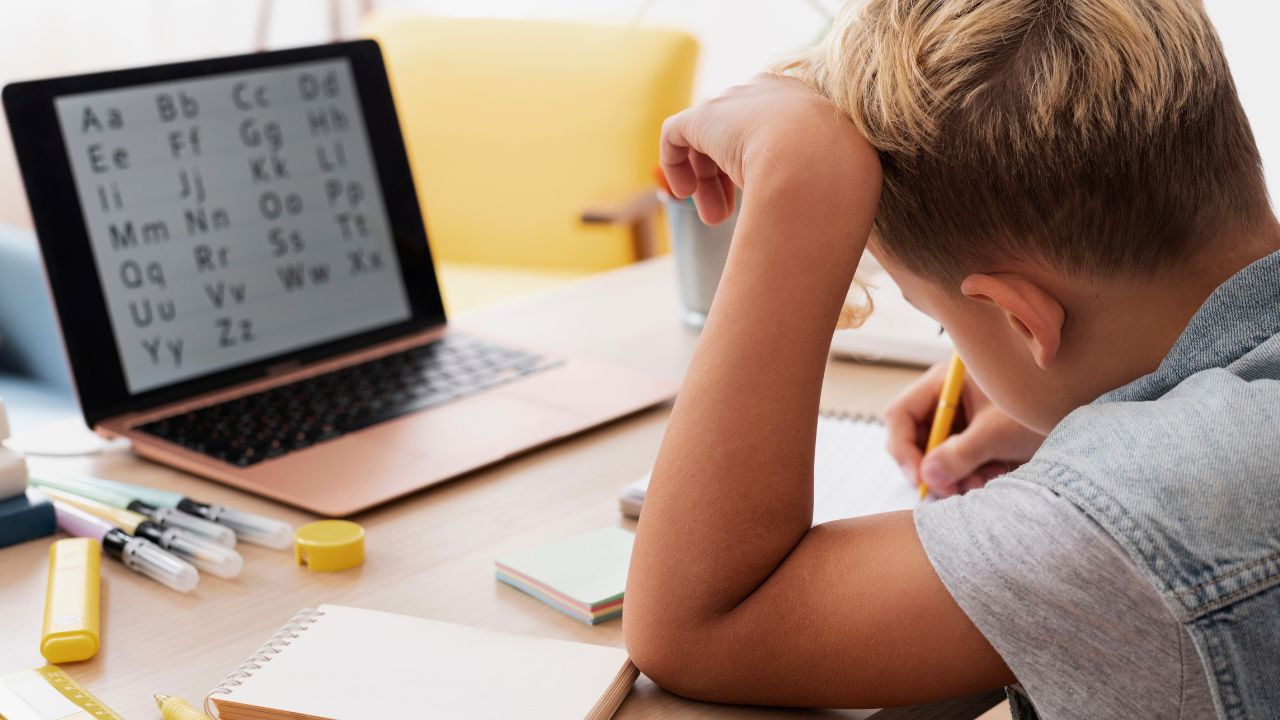 Dificuldades de Aprendizagem: como detectar sinais e atuar de forma responsável