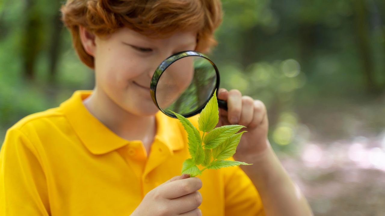 Docência de Ciências da Natureza