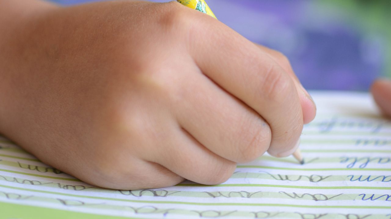 Docência em Letras e Práticas Pedagógicas