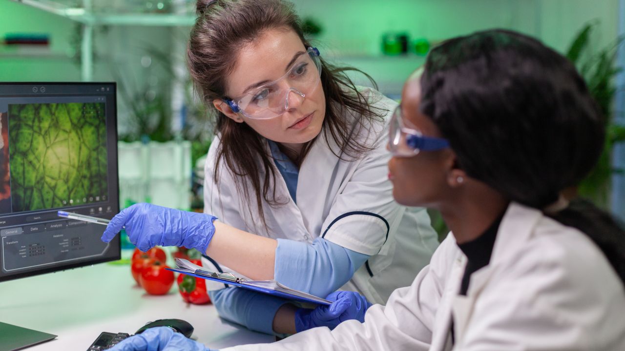 Docência no Ensino de Ciências Biológicas