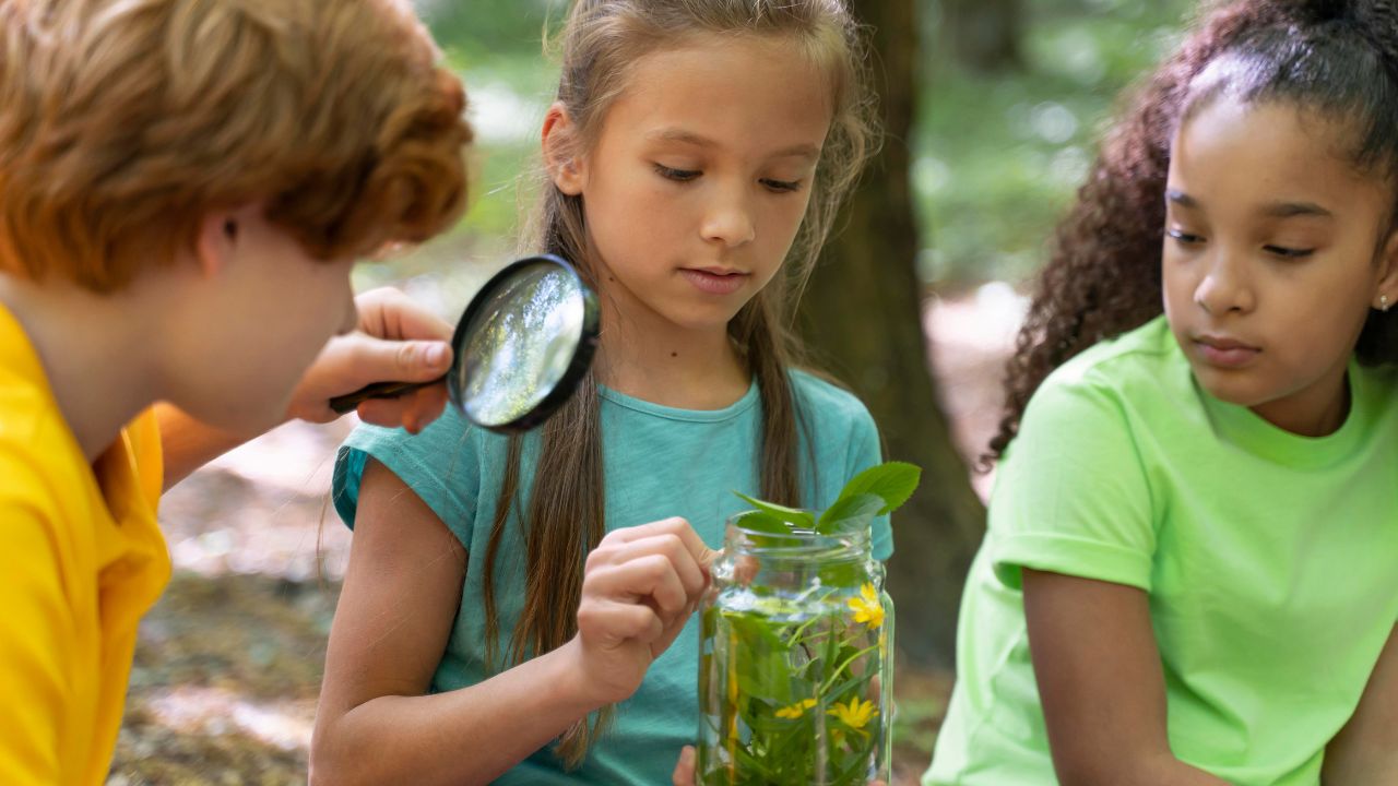 Educação Ambiental e Sustentabilidade