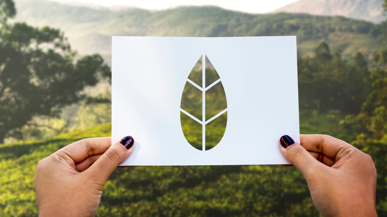 imagem sobre Qualidade Ambiental: como avaliar ar, água, poluição e sustentabilidade de forma integrada